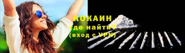 первитин Богородицк