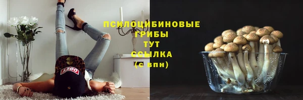 первитин Богородицк