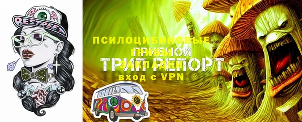 бошки Богданович