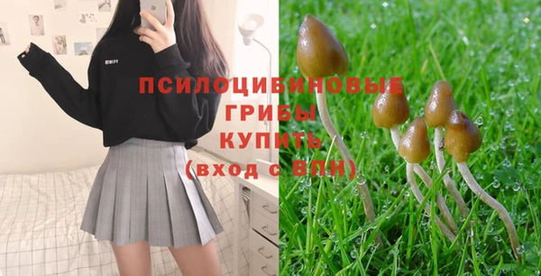 бошки Богданович