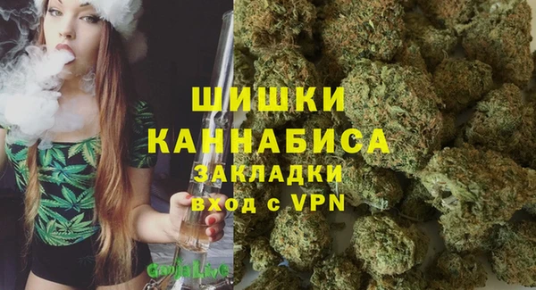 первитин Богородицк