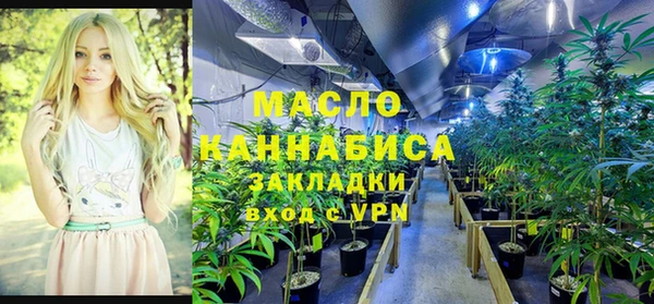первитин Богородицк