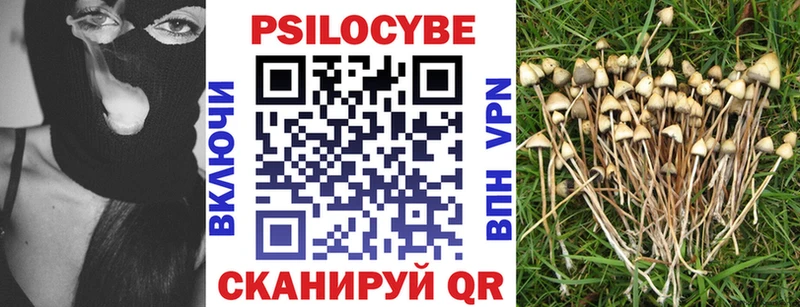 Псилоцибиновые грибы мухоморы  Купить где  Куровское 